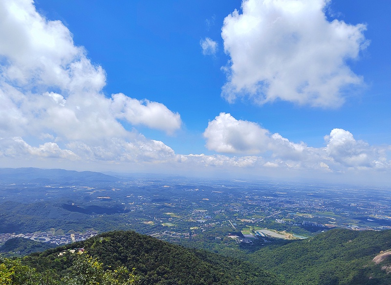 员工风采 | 广州美亚组织开展职工登山活动