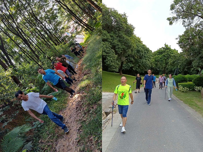广州美亚 | 徒步登山活动，开启夏日户外探索之旅